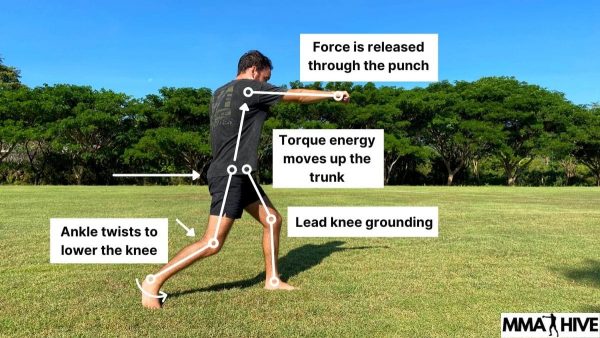 Landing a punch with joints anatomy