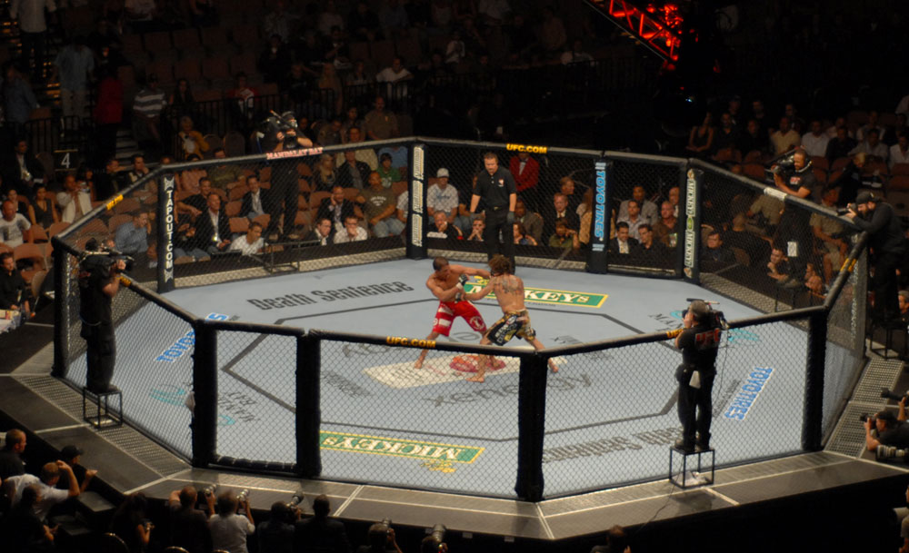 UFC fighters in the octagon