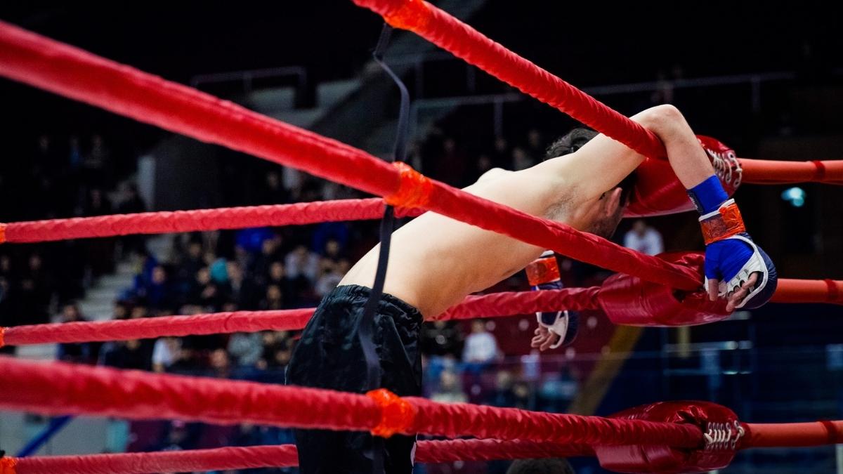 How Much Do LowLevel MMA Fighters Make?