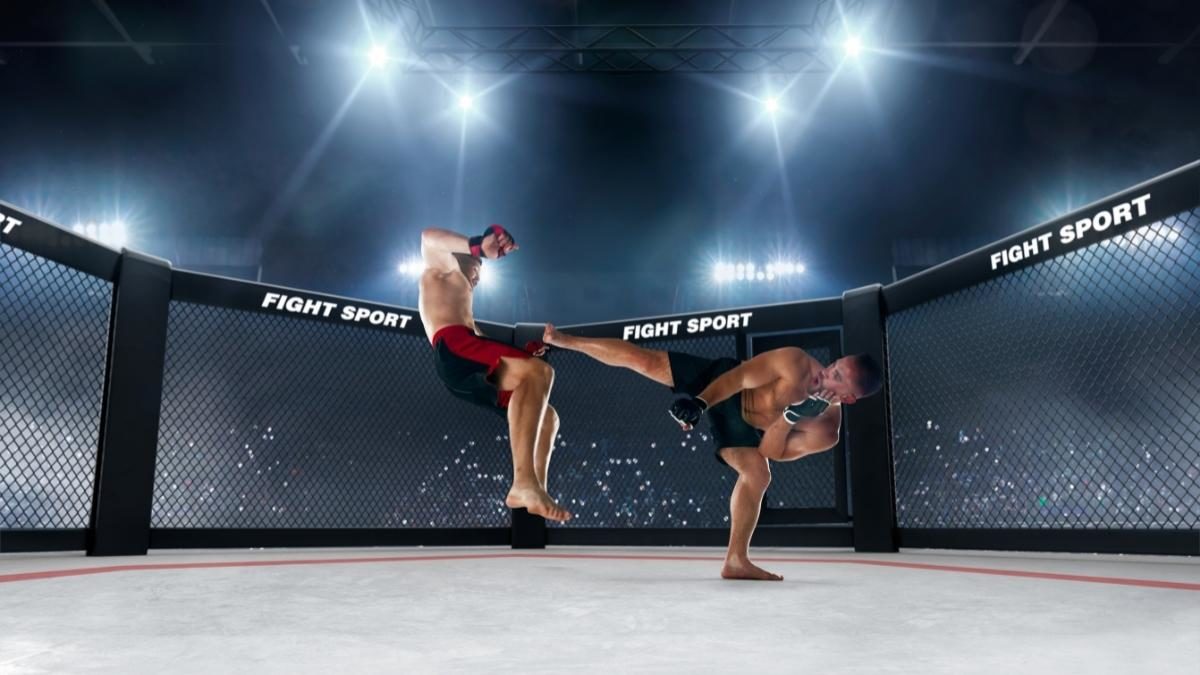 Two fighters competing in the octagon