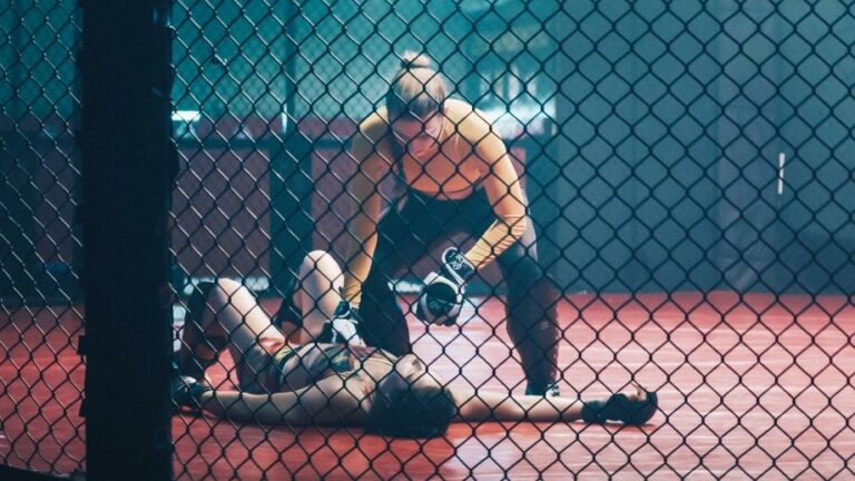 UFC Octagon Floor Material Explained - MMA Hive