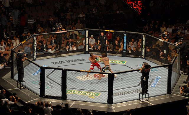 Clay Guida fighting in the octagon for UFC 74