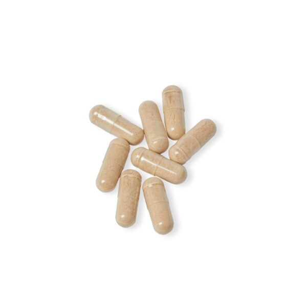 FightIQ Brain Support Complex Supplement - Image 5